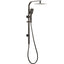 TARAN Twin Shower On Rail Top Inlet Square (250mm) - Brushed Gun Metal
