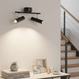Vector 2Lt 10W Rail Black