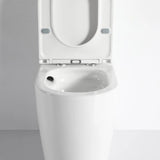 Walton Rimless Back To Wall Toilet Suite (Gloss White)