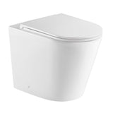 Berlin99 Wall-Faced Floor Pan Toilet (Matte White)