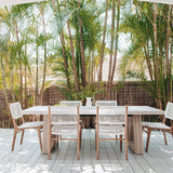 Zane Teak Dining Chair - White
