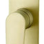 ZEVIO Shower/Wall Mixer with Diverter - Brushed Gold