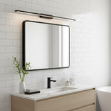 Zodiac 20Watt Vanity Black