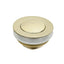 bathtub waste brushed gold