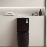 Avis Rimless Matte Black Toilet Suite