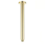 PAVIA Ceiling Shower Arm Round (300mm) - Brushed Gold