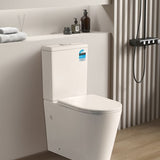 Avis Rimless Gloss White/Matte White Toilet Suite