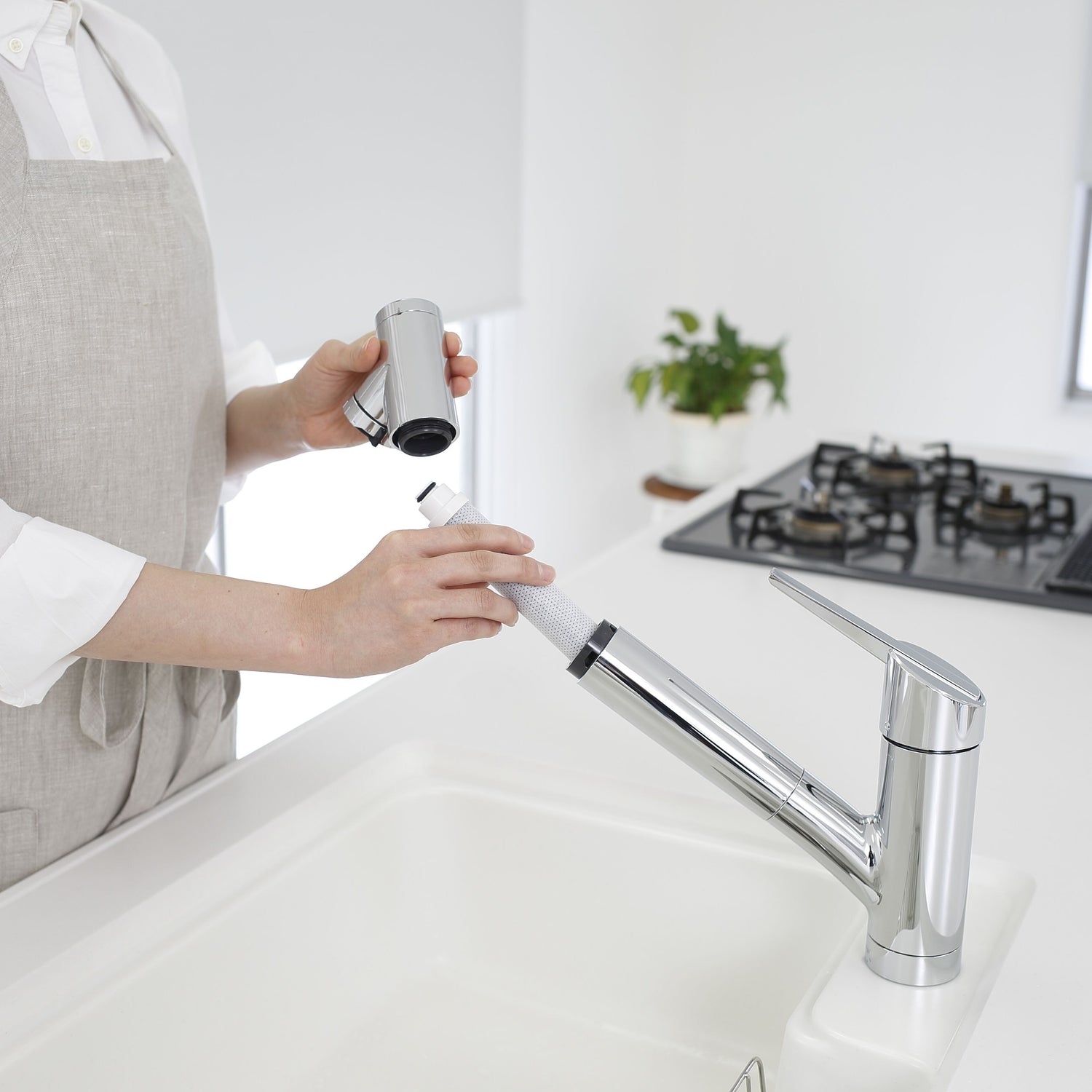Taqua Built-in Water Filter Tap