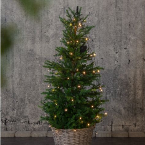 XMAS AKKU X64 LED Warm White 2.7M Bouquet (6 PCS)-Clearance