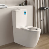 Asta Rimless Disable Rimless Gloss White Toilet Suite