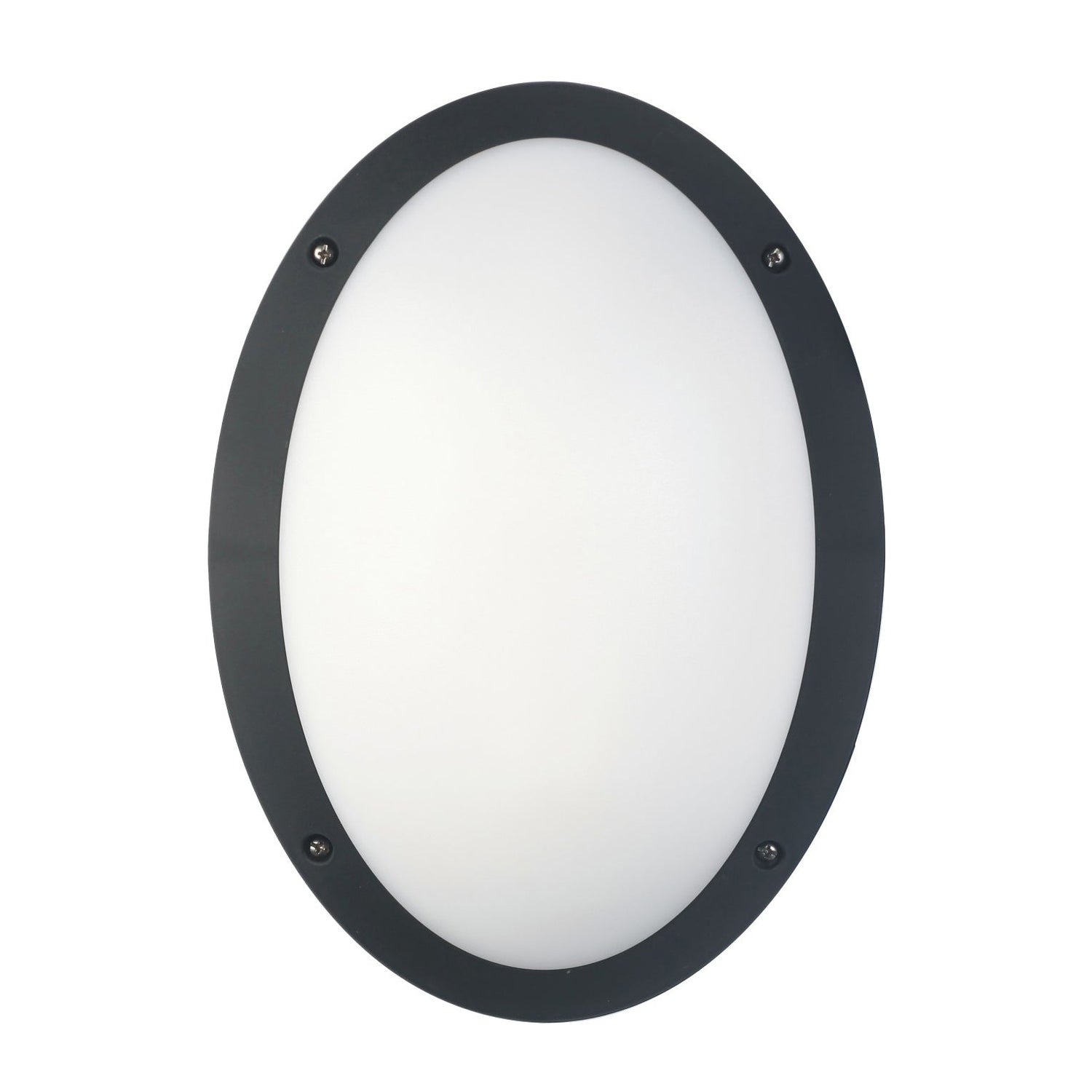 BULK: Oval LED Exterior Bulkhead Lights IP66 IK10