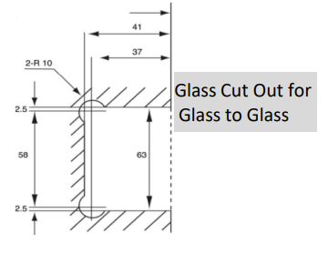 Pool Hinge - Glass to Glass - Polaris Self Closing