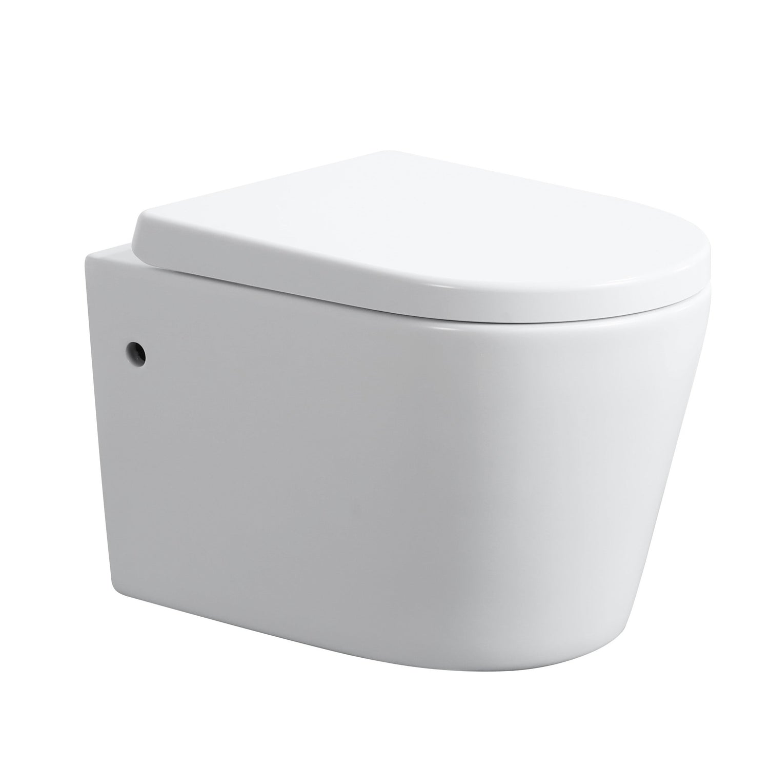avis-rimless-wall-hung-pan