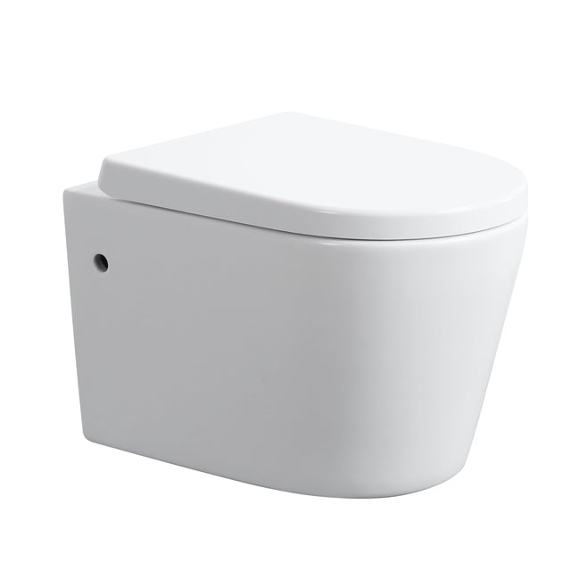 avis-rimless-wall-hung-pan