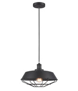 MATRIX: Industrial Iron Dome & Cage Pendant Lights