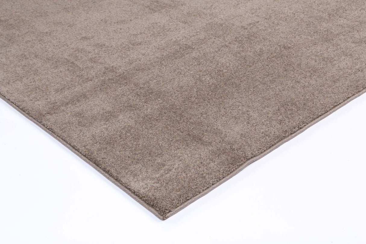 Lissa Latte Plush Rug