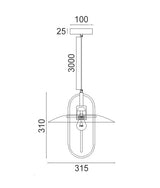 PAPILLON: Interior Oblong Iron with Glass Coolie Pendant Lights