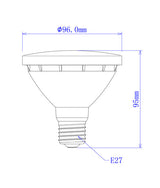 PAR30 LED Globe (10W)
