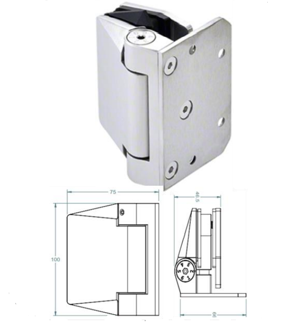 Pool Hinge - Glass to Wall - Polaris Self Closing