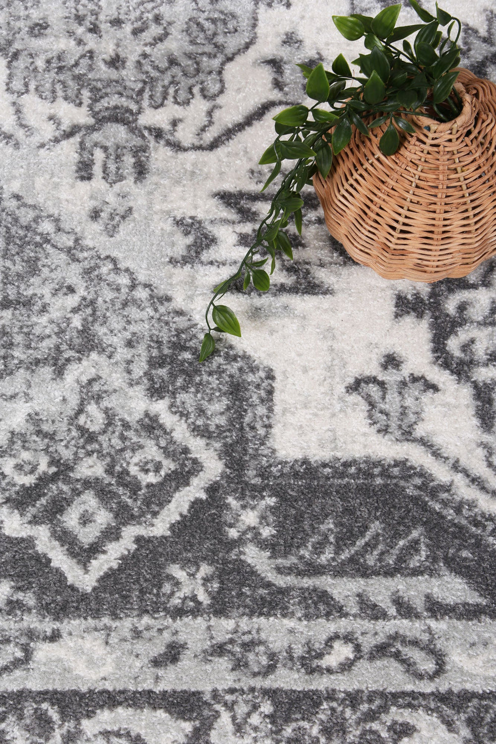 Ligures  White Grey Traditional Rug