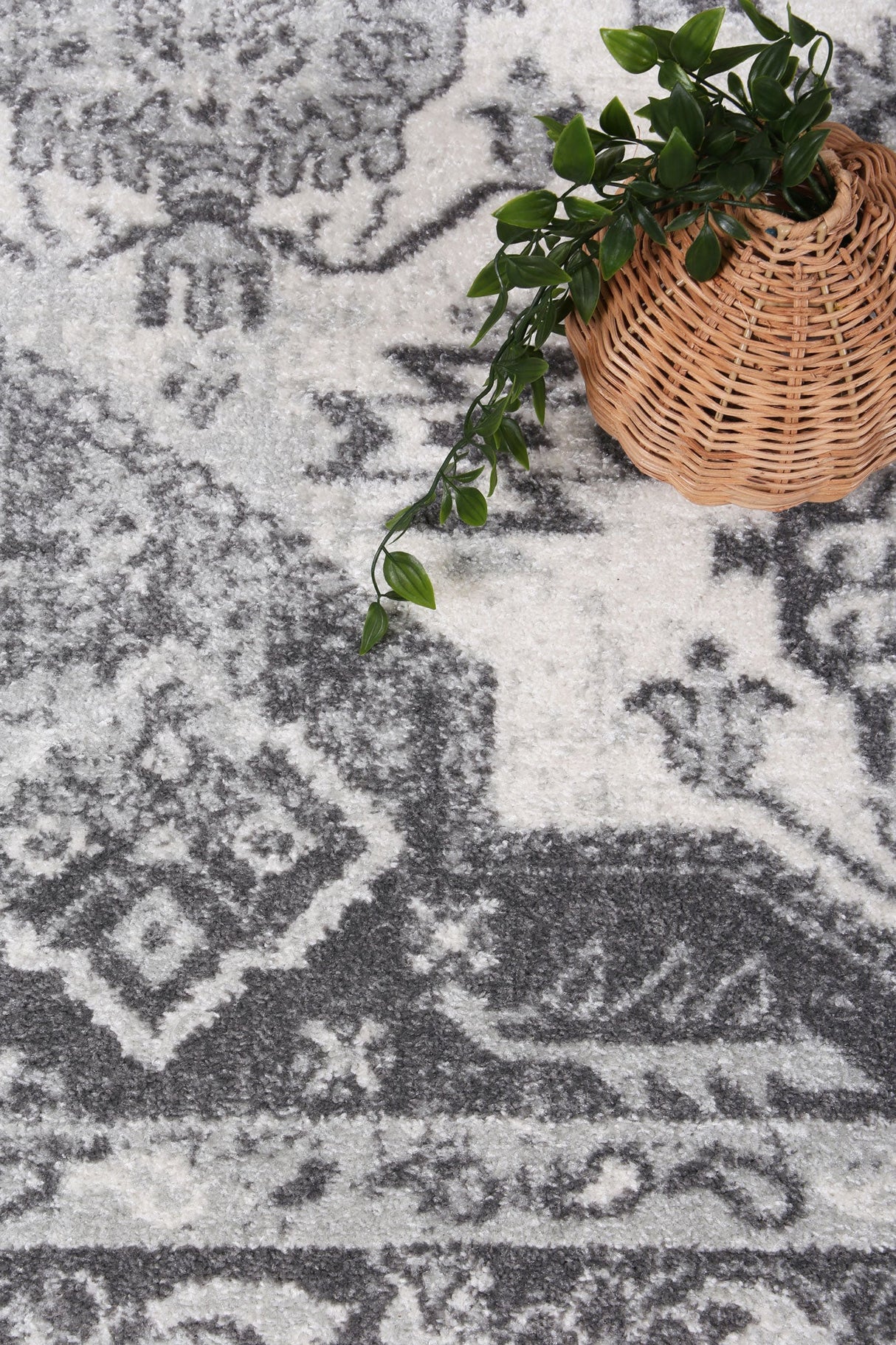 Ligures  White Grey Traditional Rug