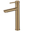 Pentro Round Tall Basin Mixer - Brushed Brass