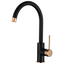 ROUL Kitchen Sink Mixer - Black & Rose Gold
