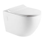 RAUL99 Wall Hung Toilet Floor Pan with Wall Hung Cistern Package