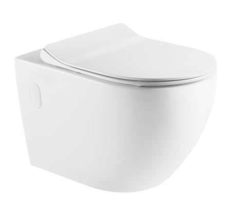 RAUL99 Wall Hung Toilet Floor Pan with Wall Hung Cistern Package