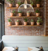 STRAND: Iron and Wood Dome Cage Pendant Lights