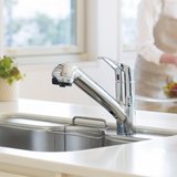 Taqua Built-in Water Filter Tap T1