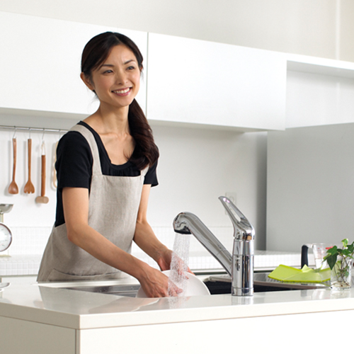 Taqua Built-in Water Filter Tap T1