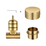 Round Progressive Wall Mixer Handle - Brushed Brass