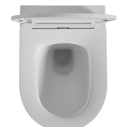 Avis Rimless Wall Hung Gloss White/ Matte White Toilet