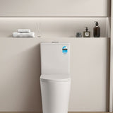 Avis Rimless Gloss White/Matte White Toilet Suite