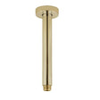 Pentro Round Ceiling Shower Arm 200mm - Brushed Brass