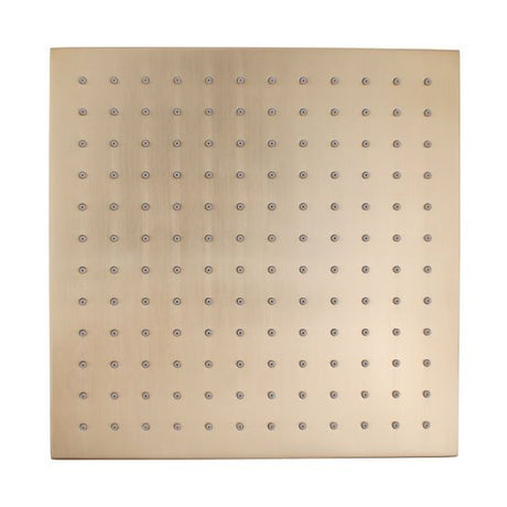 Cavallo 250mm Soild Brass Shower Head - Brushed Brass