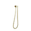Pentro Round Shower Holder Wall Connector Hose - Brushed Brass