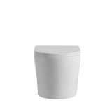 Avis Rimless Wall Hung Gloss White/ Matte White Toilet